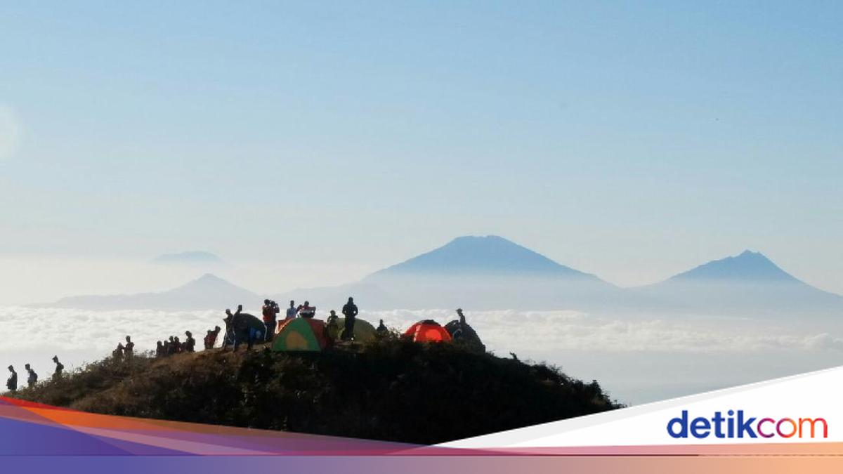 Video Sejoli Diduga Mesum di Gunung Prau Viral