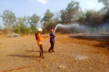 BNPB Catat Karhutla di Sejumlah Wilayah, Puluhan Hektare Lahan Terbakar