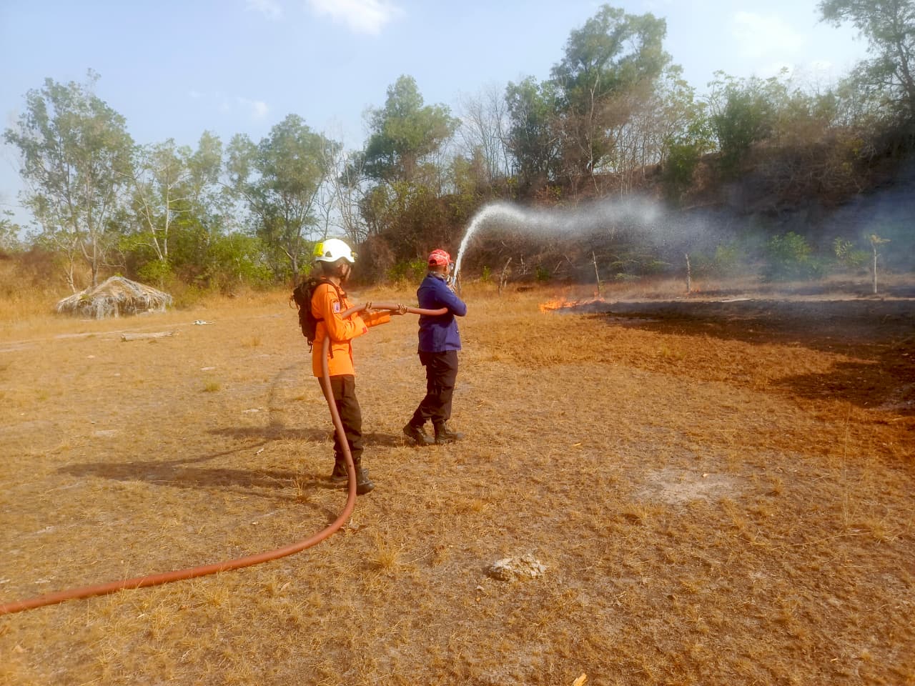 BNPB Catat Karhutla di Sejumlah Wilayah, Puluhan Hektare Lahan Terbakar