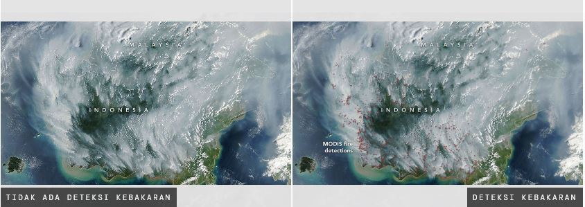 Kebakaran lahan gambut menggelapkan langit Indonesia 8 kebakaran