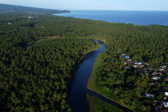 kelapa