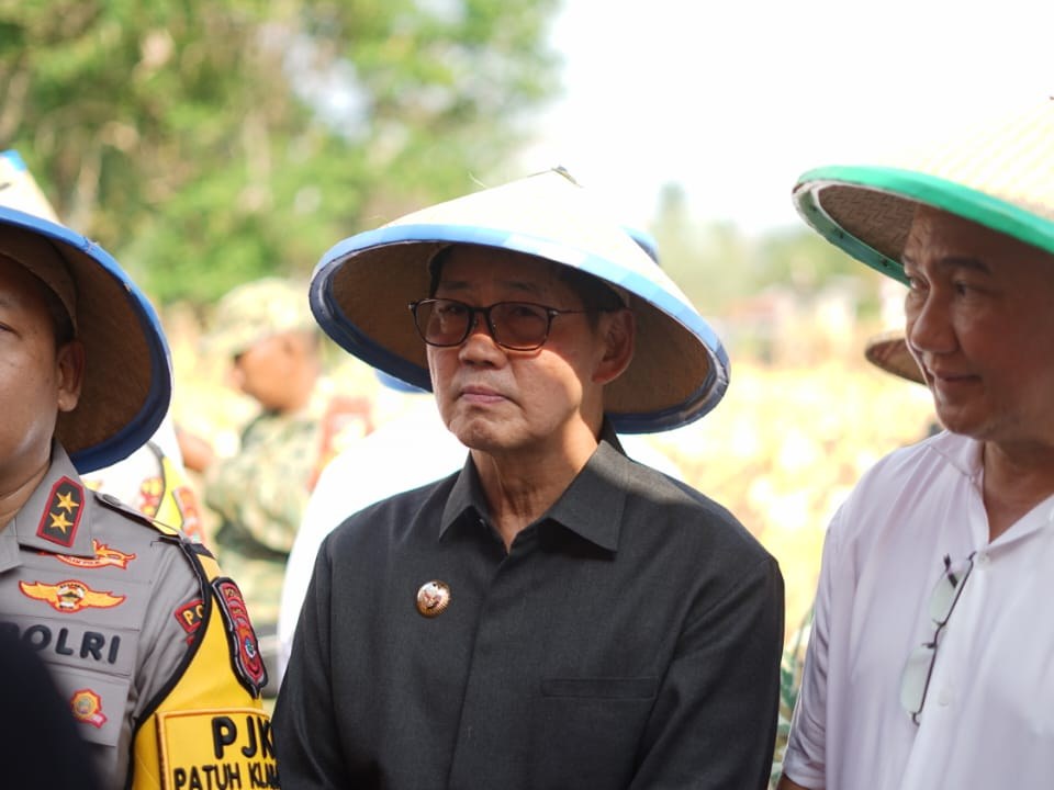 Verietas jagung benama GJ 115 dikenalkan di Minut