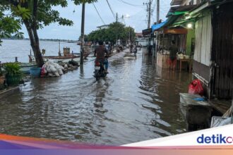 9 Wilayah Jakarta Utara Dihimbau Waspada Banjir Rob