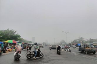 BMKG Mendeteksi 3.663 Titik Panas di Sumatera
