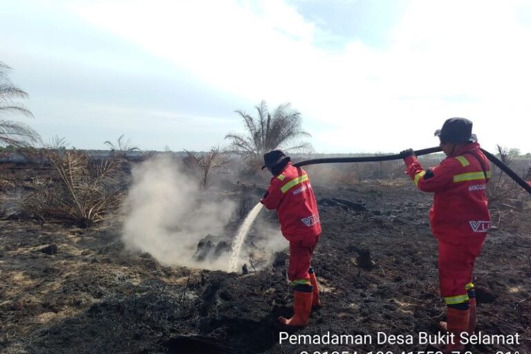 BNPB: 454 Hektare Lahan Karhutla Telah Padam di Enam Provinsi