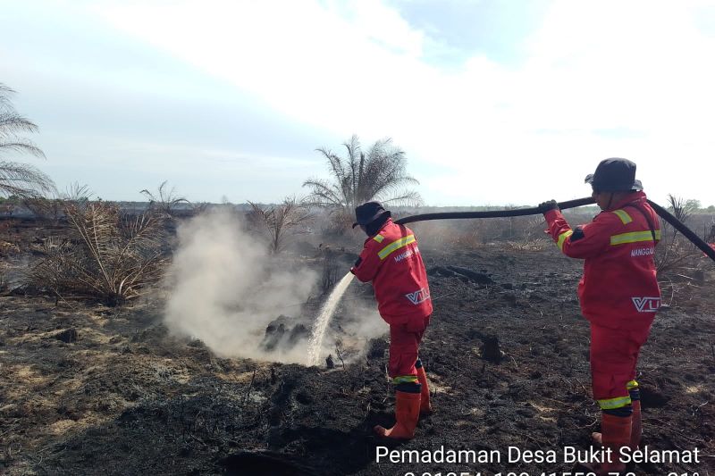 BNPB: 454 Hektare Lahan Karhutla Telah Padam di Enam Provinsi