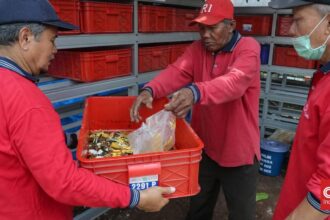 Cara Mendaftar Program Pilah Olah Sampah Heroes Jakarta 2026