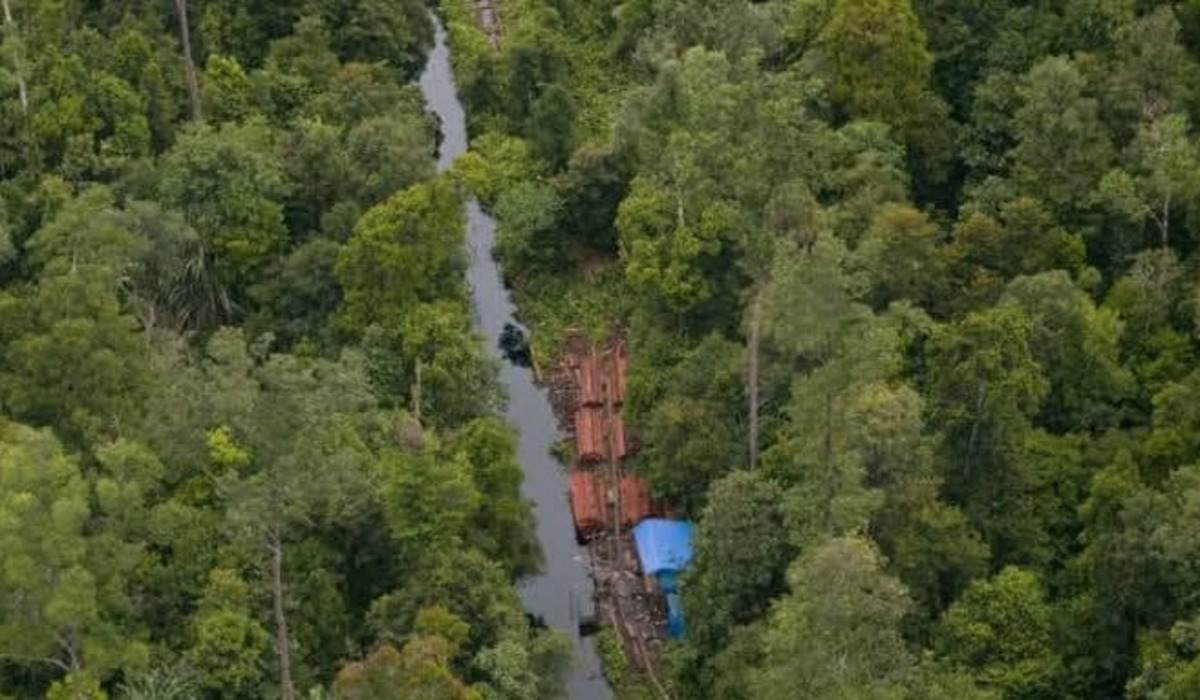 DPR Desak Kejelasan Denda Pertambangan di Kawasan Hutan