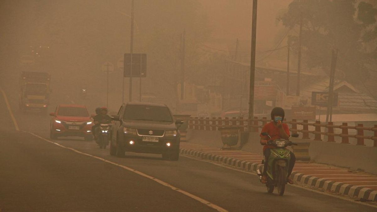 Daerah Terdampak Kabut Asap Kebakaran Hutan di Indonesia