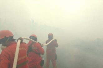 Efektivitas Realiza Anti Chamas dalam Pemadaman Karhutla Indonesia