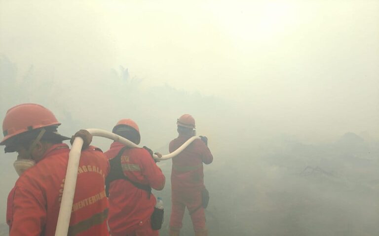 Efektivitas Realiza Anti Chamas dalam Pemadaman Karhutla Indonesia