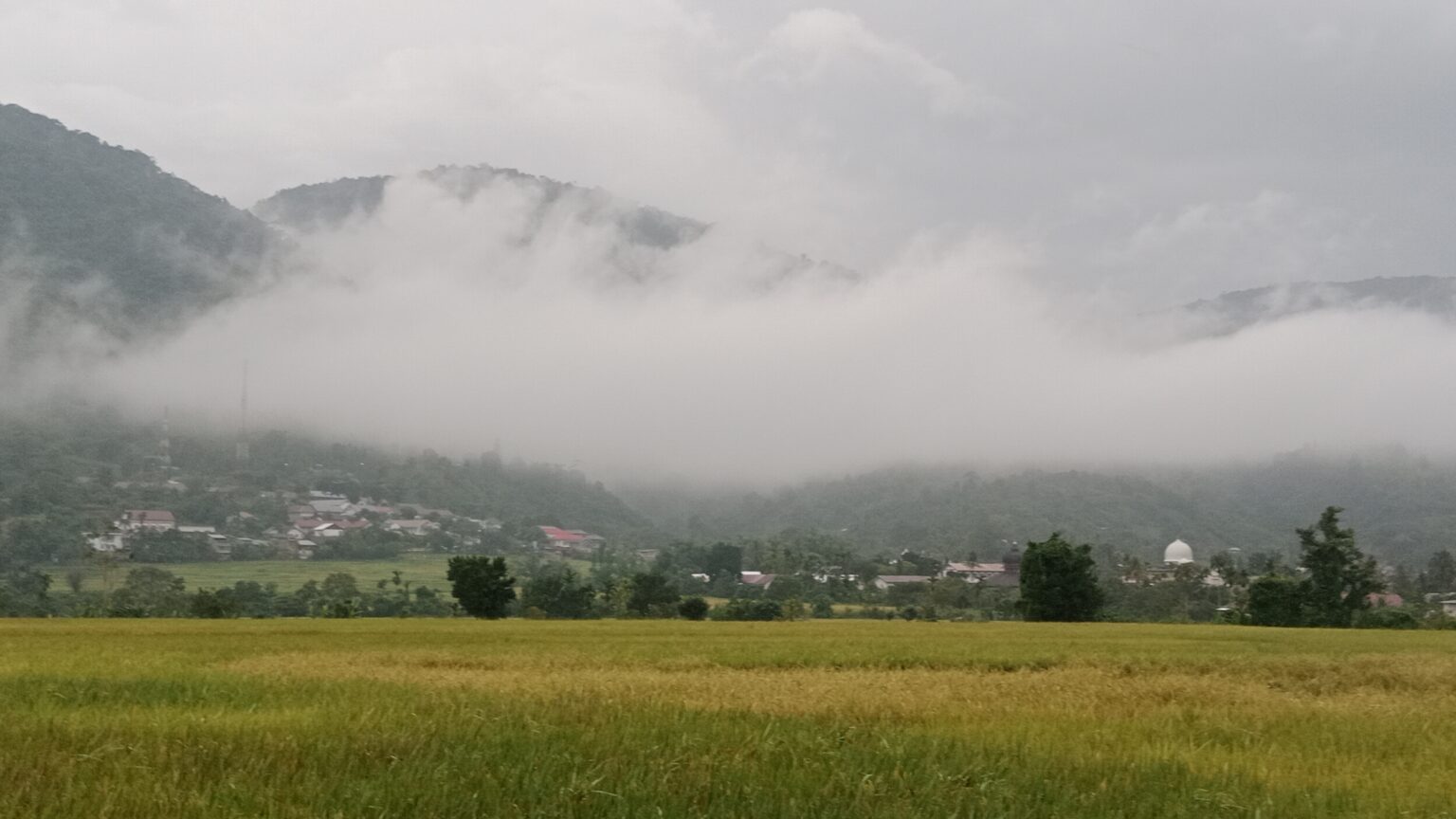 Gubernur Aceh Imbau Peningkatan Kewaspadaan terhadap Kabut Asap