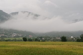Gubernur Aceh Imbau Peningkatan Kewaspadaan terhadap Kabut Asap