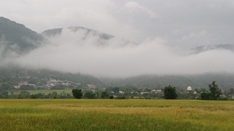 Gubernur Aceh Imbau Peningkatan Kewaspadaan terhadap Kabut Asap