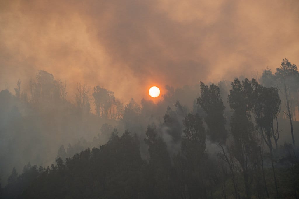 Jumlah Petugas Gugur dalam Karhutla Bromo Menjadi Lima Orang