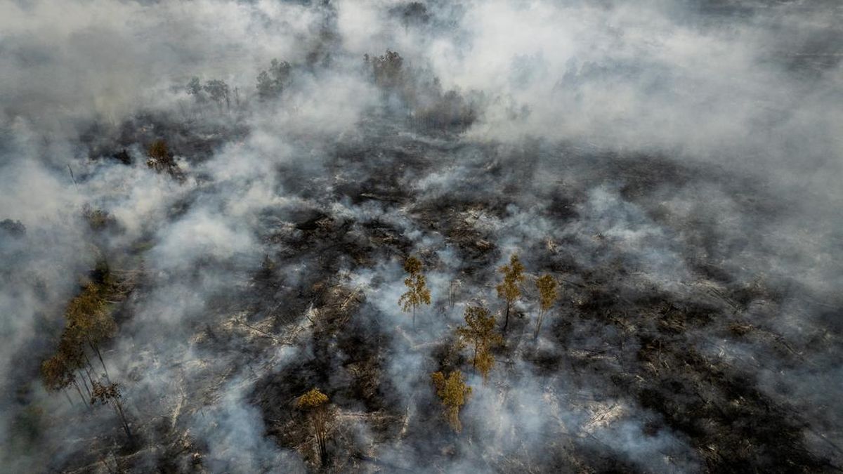 Kabut Asap Kiriman Sumsel-Kalimantan Selimuti Sumut