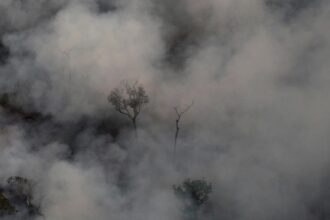 Kabut Asap Selimuti Brasil Akibat Kebakaran Hutan Amazon