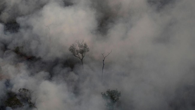 Kabut Asap Selimuti Brasil Akibat Kebakaran Hutan Amazon