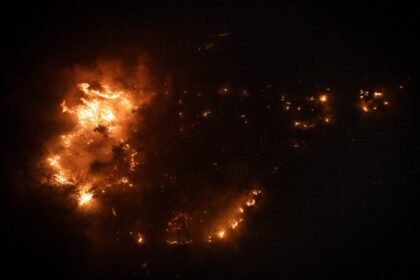 Karhutla Kalimantan Tengah Tercatat Terluas di Indonesia