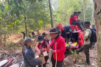 kemarau