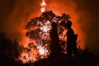 Karhutla di Taman Nasional Berbak Sembilang Jambi Semakin Meluas