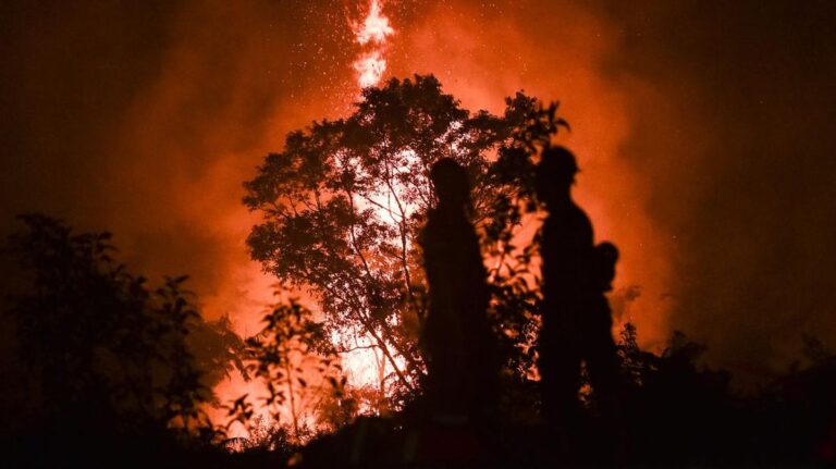 Karhutla di Taman Nasional Berbak Sembilang Jambi Semakin Meluas