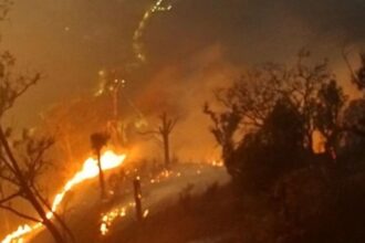 Kebakaran Empat Gunung di Jawa Timur Ancaman Serius bagi Warga Sekitar