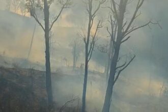 Kebakaran Gunung Arjuno-Welirang Ancam Permukiman Warga