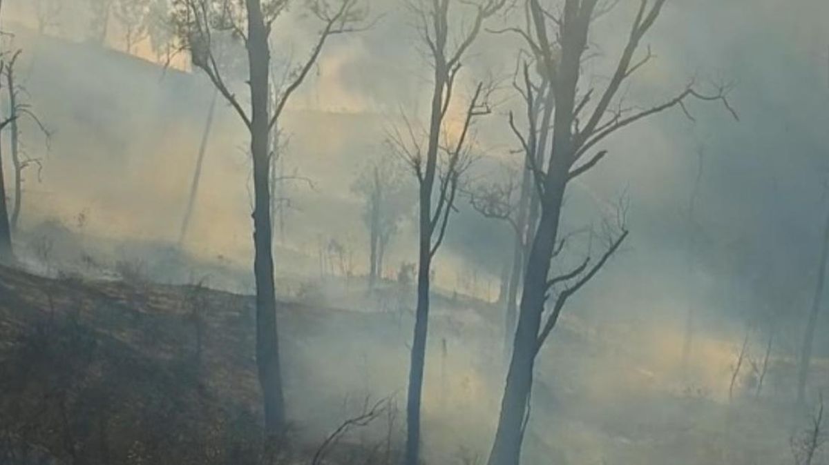 Kebakaran Gunung Arjuno-Welirang Ancam Permukiman Warga