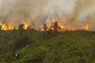 Kebakaran Hutan Ancam Puluhan Rumah di Ogan Komering Ilir
