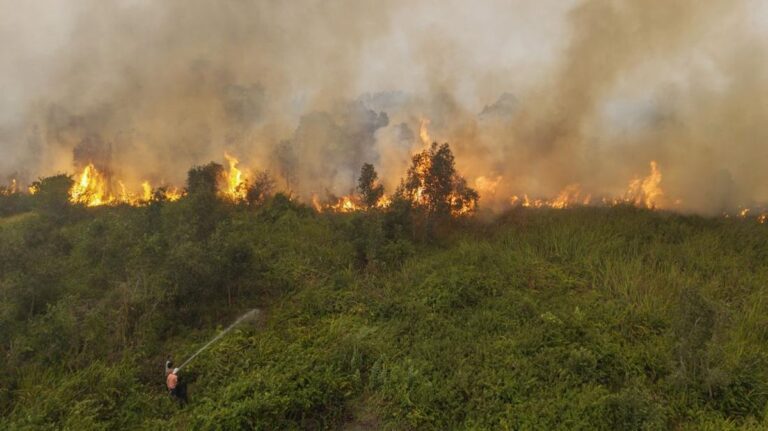 Kebakaran Hutan Ancam Puluhan Rumah di Ogan Komering Ilir