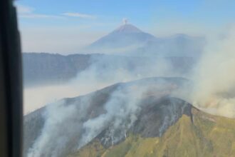 Kebakaran Hutan Hanguskan 9.269 Hektare di Jawa Timur