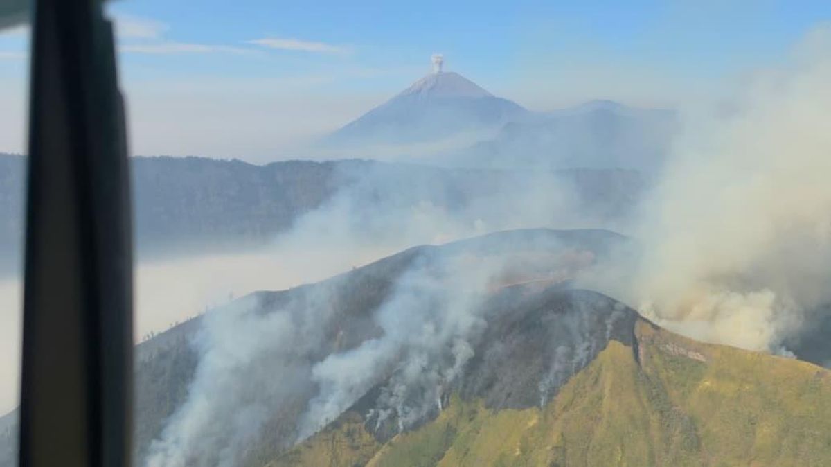 Kebakaran Hutan Hanguskan 9.269 Hektare di Jawa Timur