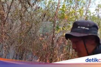 Kebakaran di Gunung Lawu Meluas, Capai 490 Hektare
