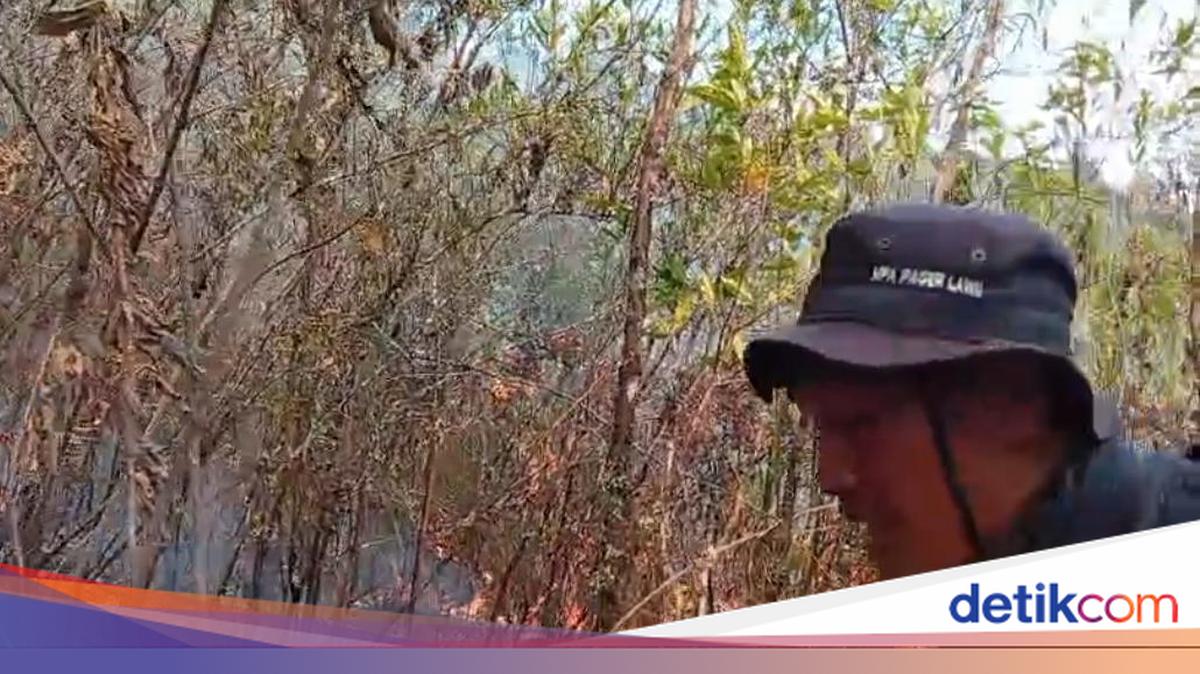 Kebakaran di Gunung Lawu Meluas, Capai 490 Hektare