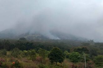 lokon