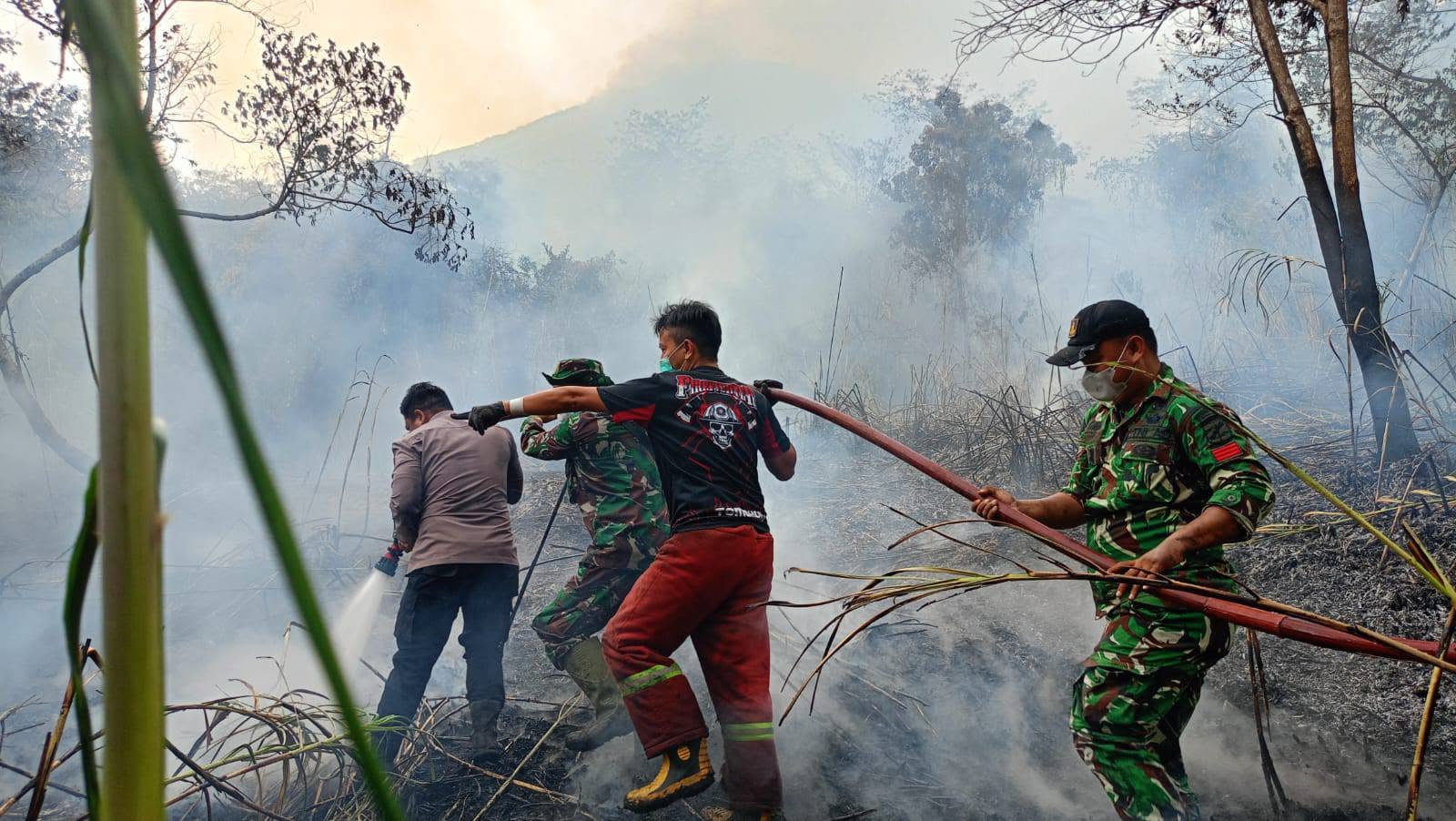 Sekitar 200 hektare Cagar Alam Gunung Lokon terbakar 8 lokon