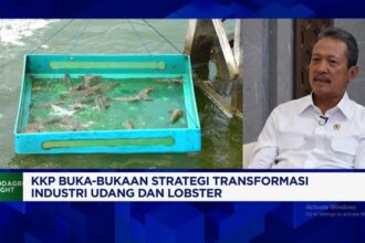 Menteri Trenggono Sampaikan Jurus Berantas Penyelundupan Benih Lobster