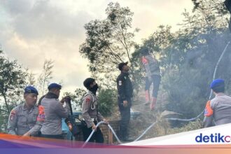 Polda Jatim Kerahkan Personel untuk Padamkan Karhutla di Bromo