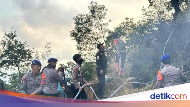 Polda Jatim Kerahkan Personel untuk Padamkan Karhutla di Bromo