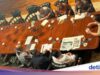 Prabowo Bahas P3MD dan Pembangunan Kampus Bersama Gubernur URI