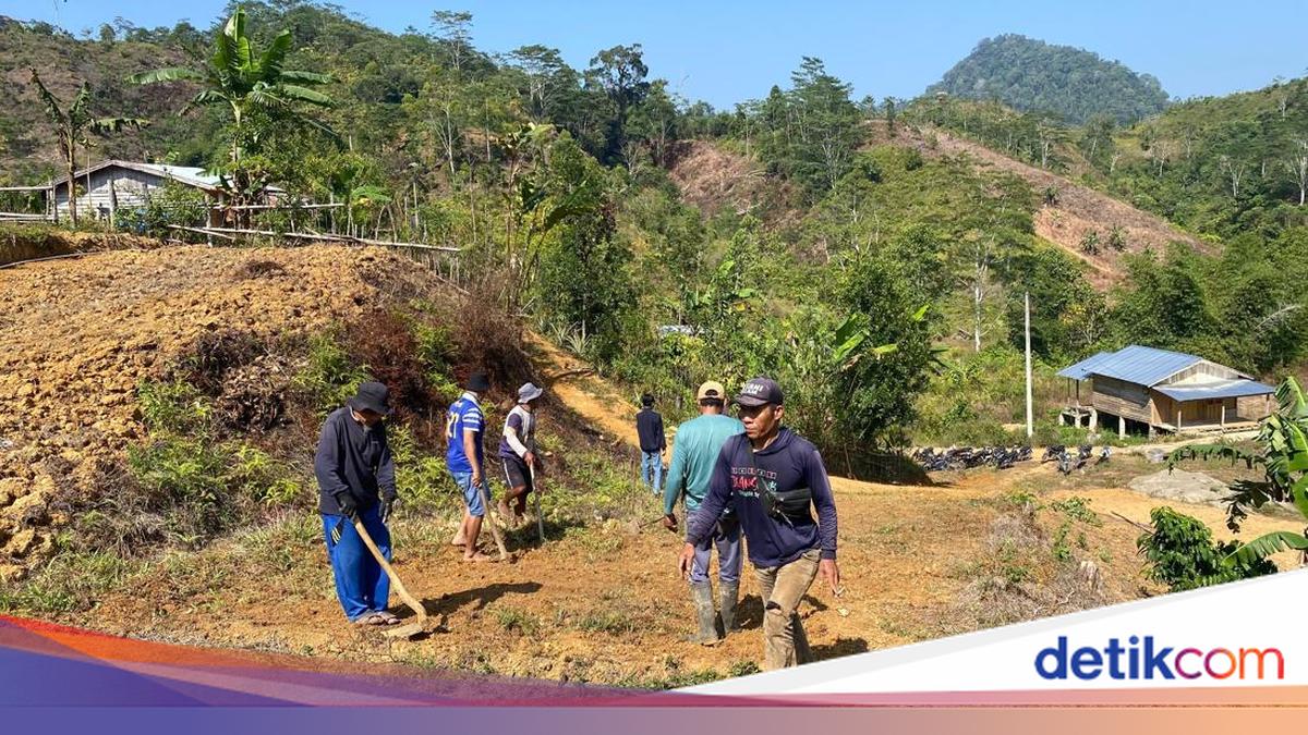 Tim Ekspedisi Patriot Perbaiki Jembatan demi Kelancaran Akses Petani Kopi Mamasa