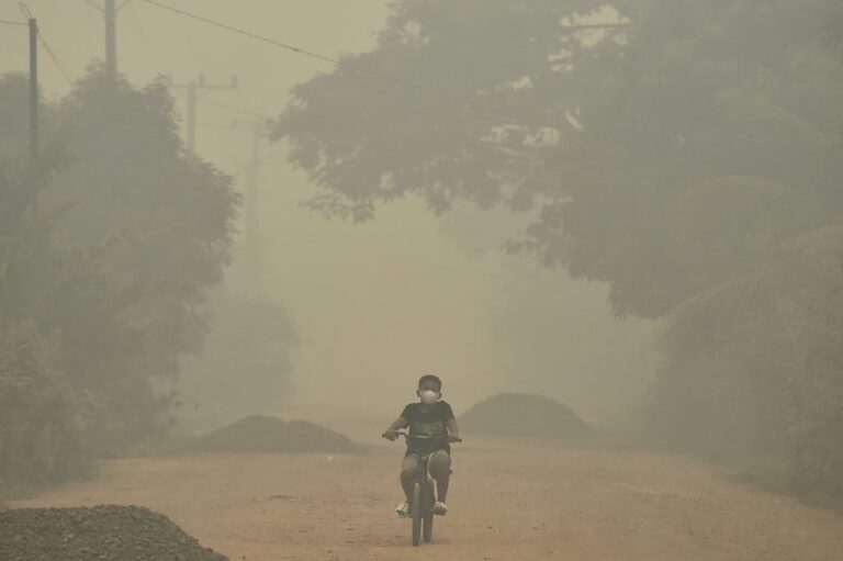 Tujuh Perusahaan Indonesia Diselidiki Singapura Terkait Karhutla
