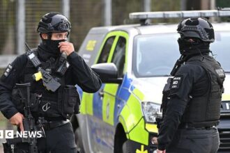 Warga Gabungan Inggris-Iran Ditangkap Terkait Insiden RAF Fairford